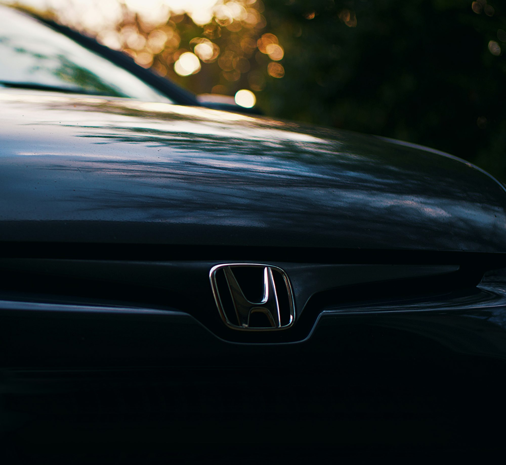 leiada-krozjhen-71d0mC9DgcY-unsplash